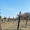 Actualité genealogie Avril 2018 - En Mayenne, un cimetière de « fous » oublié par l'Histoire