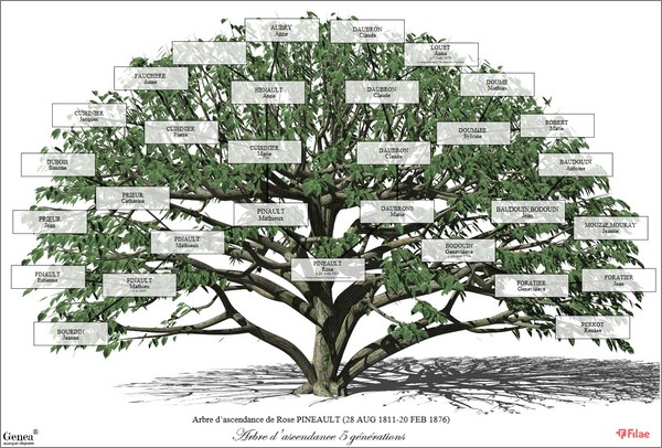 Imprimer arbre genealogique Filae - Exemple Arbre décoratif