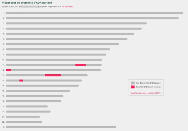 Les segments ADN partagés sur Geneanet - Visualisateur