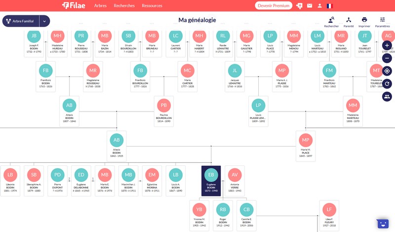 Filae gratuit ou Filae premium - Arbre familial