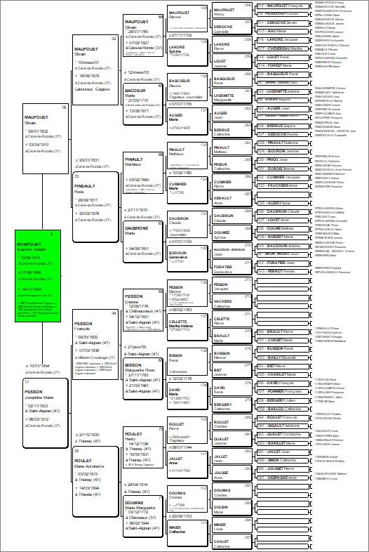 Comment-choisir-votre-logiciel-de-généalogie-Imprimer-arbre-de-travail