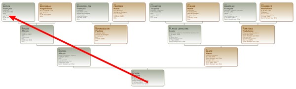 Les différents types de généalogie - Généalogie agnatique