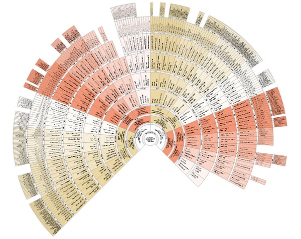 Les différents types de généalogie - Généalogie ascendante Geneanet