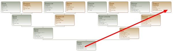 Les différents types de généalogie - Généalogie agnatique