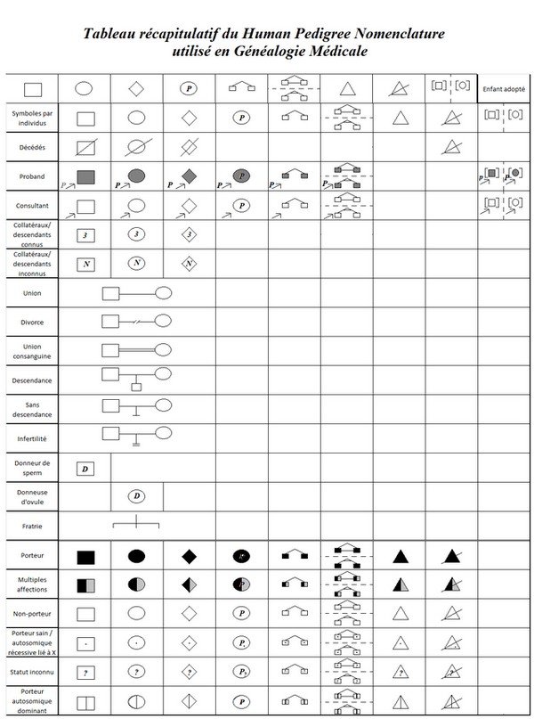 Les différents types de généalogie - Généalogie médicale
