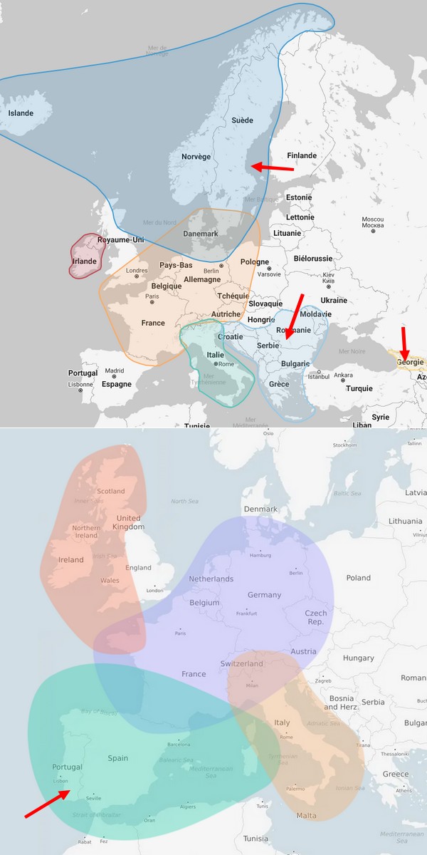 Les différents types de généalogie - Origine ethnique ADN