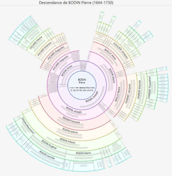 Les différents types de généalogie - Roue de descendance