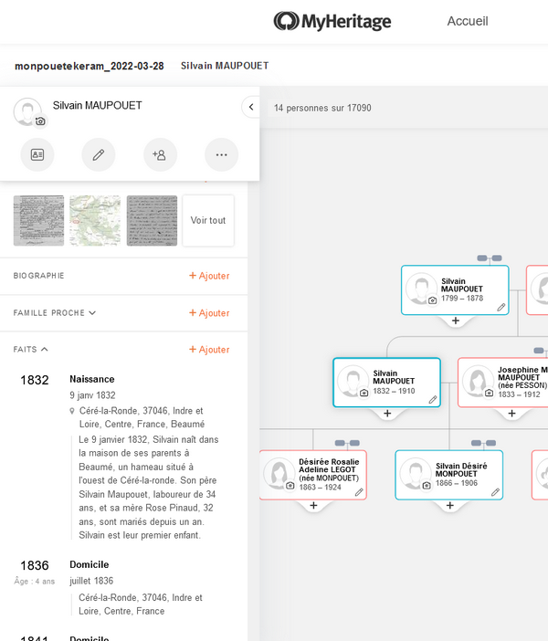 Ligne de vie - Comparaison d’Ancestry, Filae, Geneanet et MyHeritage - Ligne de vie MyHeritage