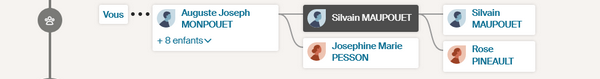 Ligne de vie - Comparaison d’Ancestry, Filae, Geneanet et MyHeritage - Ligne de vie Ancestry - Résumé Arbre