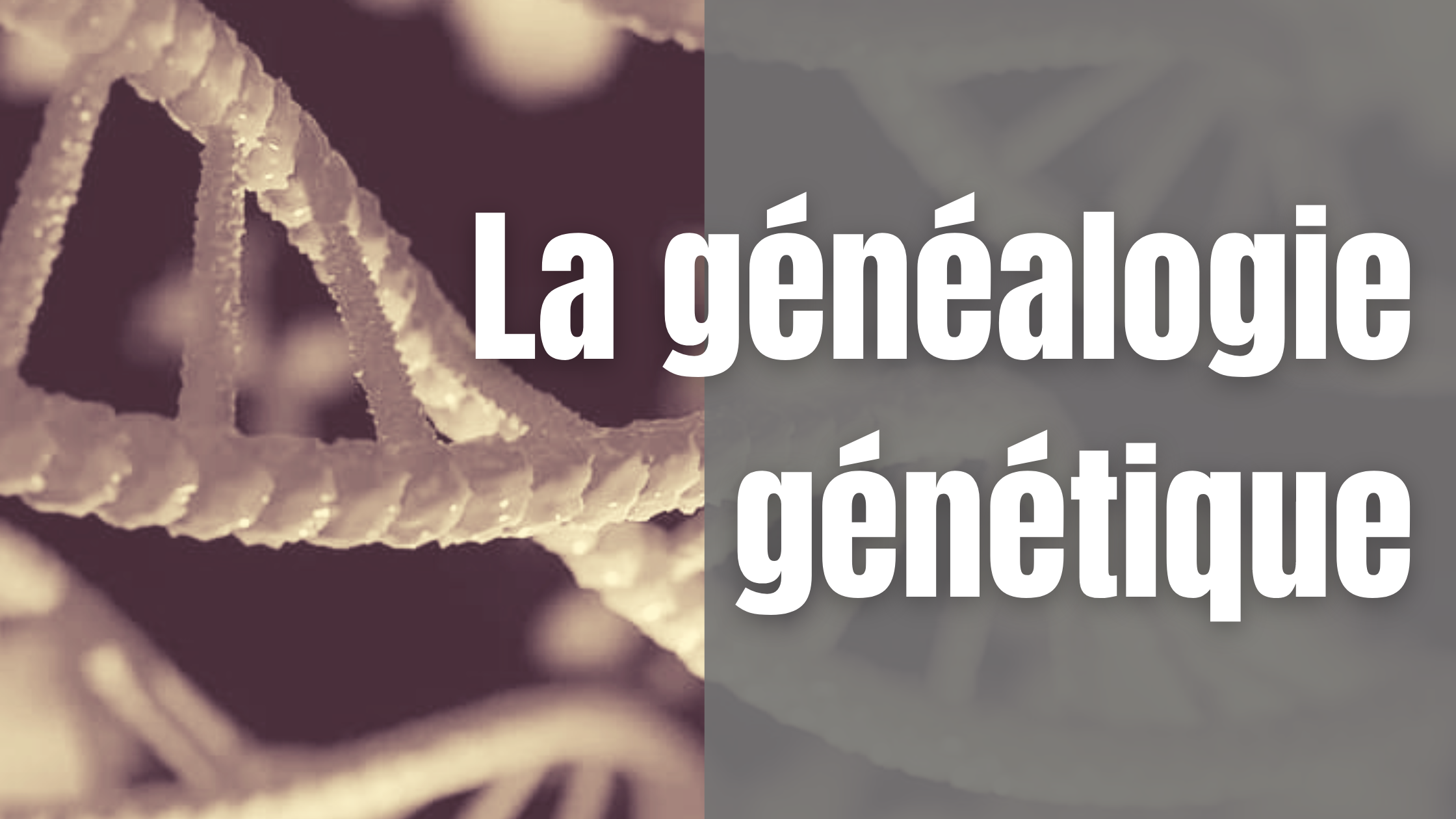 la généalogie ADN génétique