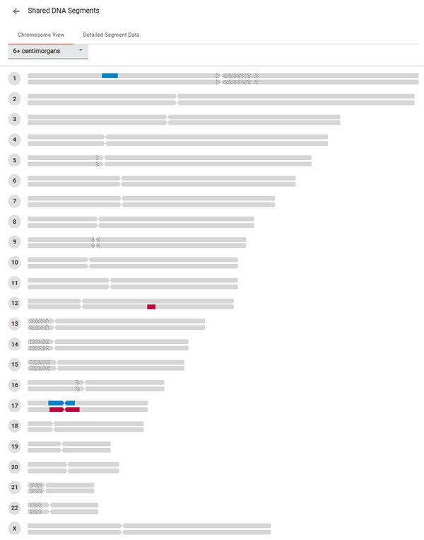 La recherche généalogique par ADN - Comparaison segments